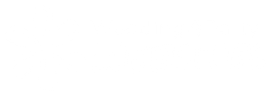 Wedding and Party Websites Logo
